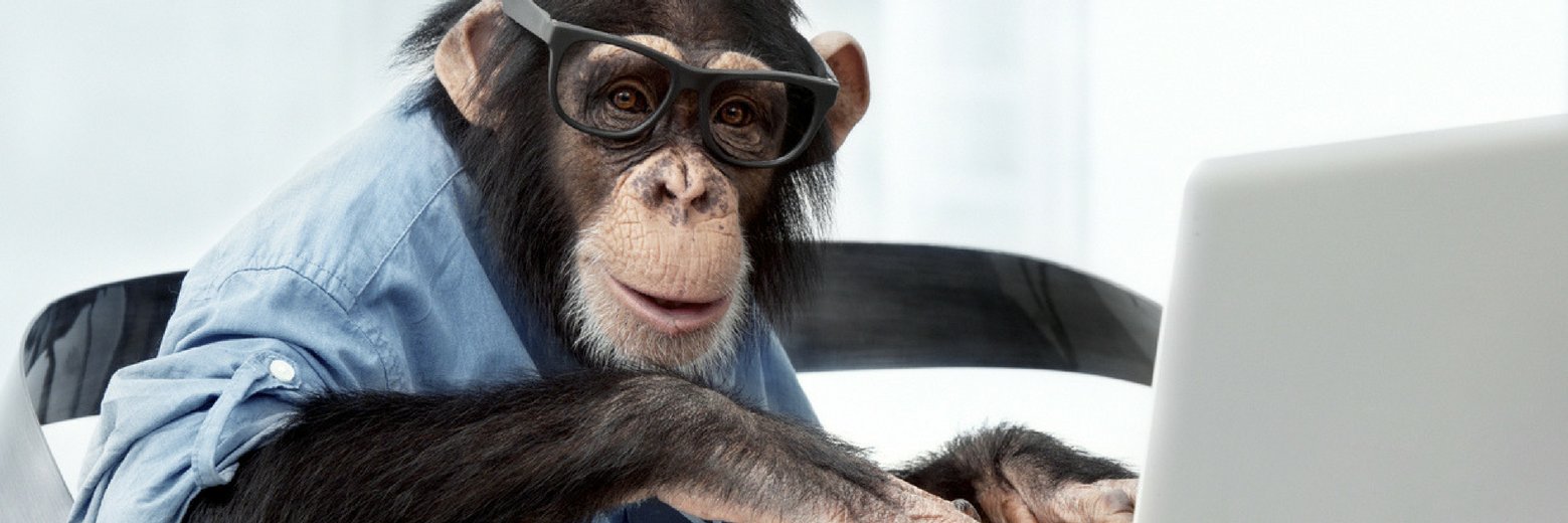 FlyingMonkey127's profile banner image
