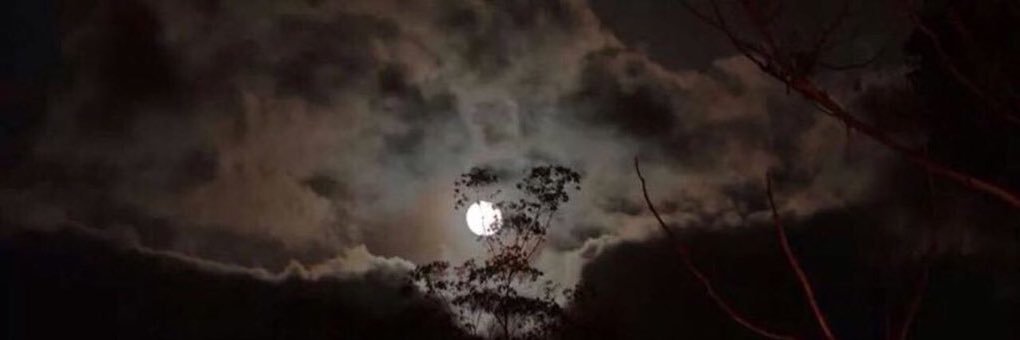 mm000x's profile banner image