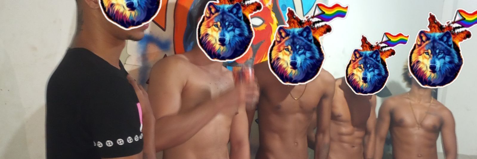 FESTA TROPA DOS CRIAS banner