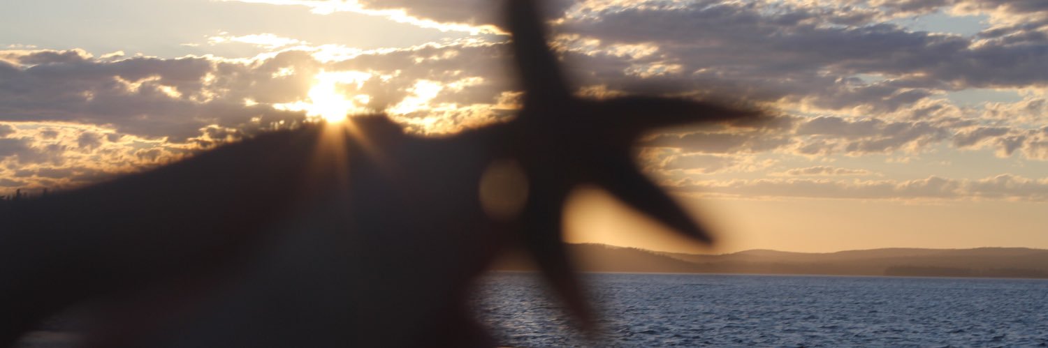 lindsmitchell_'s profile banner image