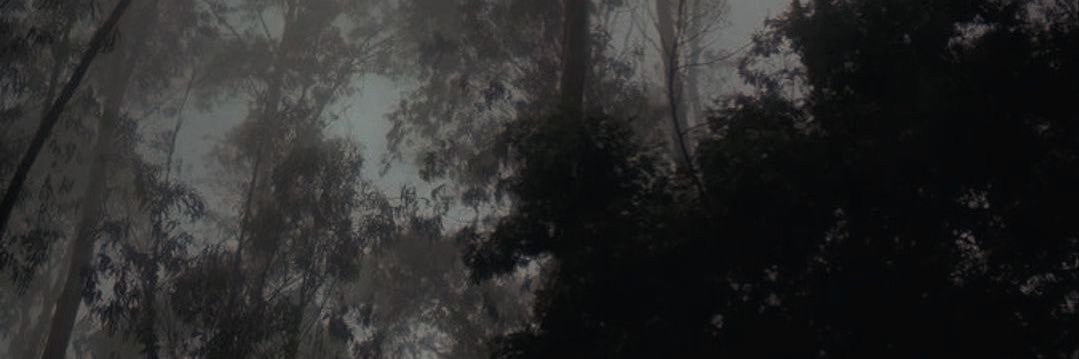 Ashe090's profile banner image