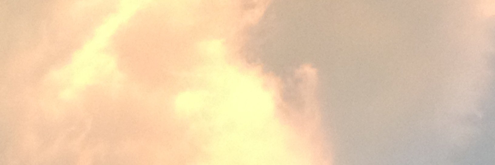 Monika Kupper banner