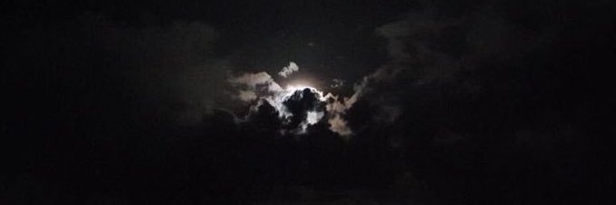 ʏᴏᴜɴɢ ᴡᴏʟғ🐺 banner