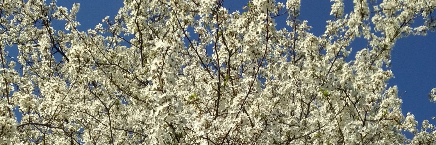 Retweetcz's profile banner image