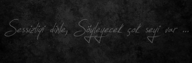 idilyalcin's profile banner image