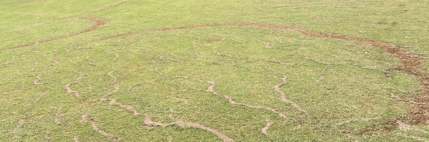 Mike Battaglia banner