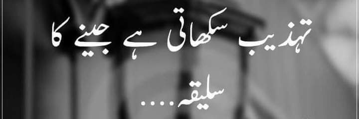 mahreenkhan00's profile banner image