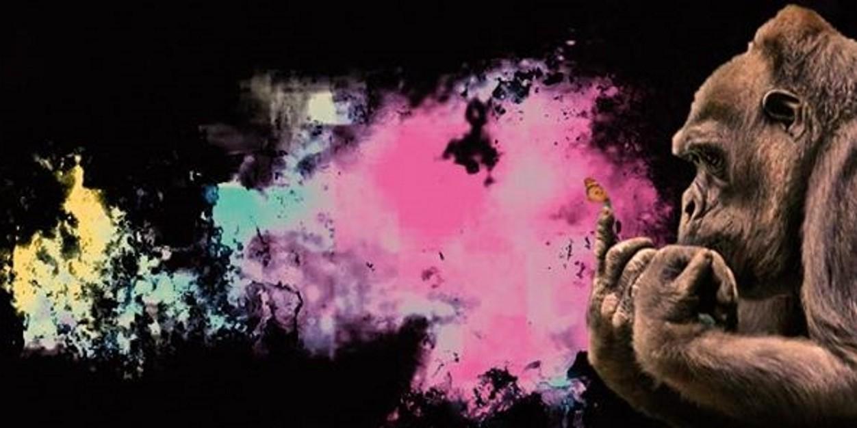 EzioMarcodini's profile banner image