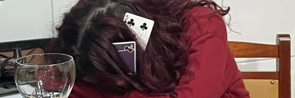 DanizinhaCalil's profile banner image