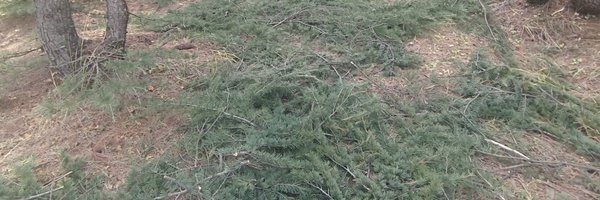 Rukhsaaaaaar Profile Banner