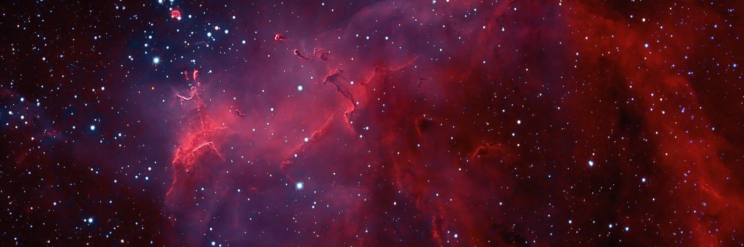 Scarlet Astrorum 🧭's banner