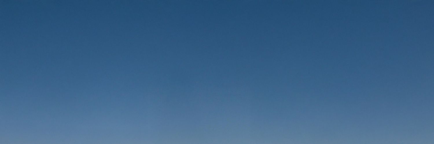 Samurai Whale banner