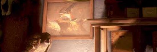 Kayky - banner