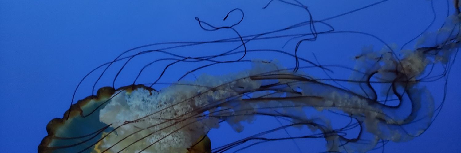 CesarHS8's profile banner image
