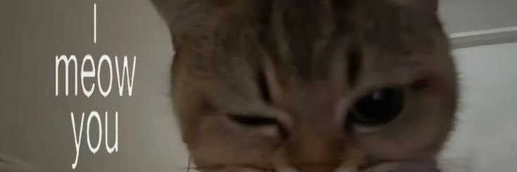 ♥︎ 유진! banner