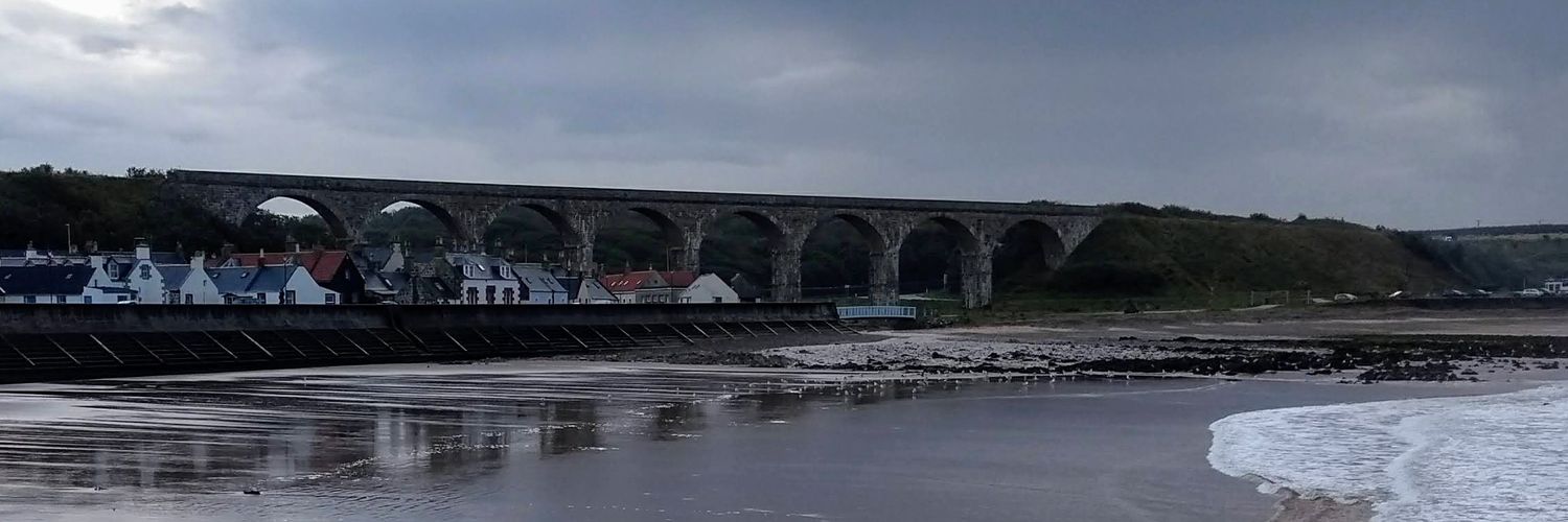 LM897's profile banner image