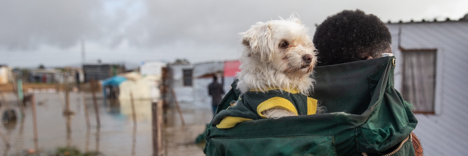 Ashraf Hendricks banner