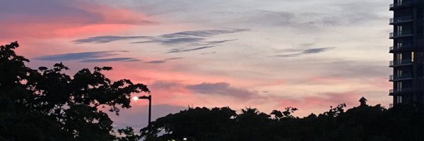 AdamLeonaldo Profile Banner