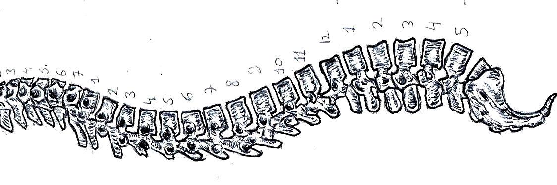 OU Ex Phys Club banner