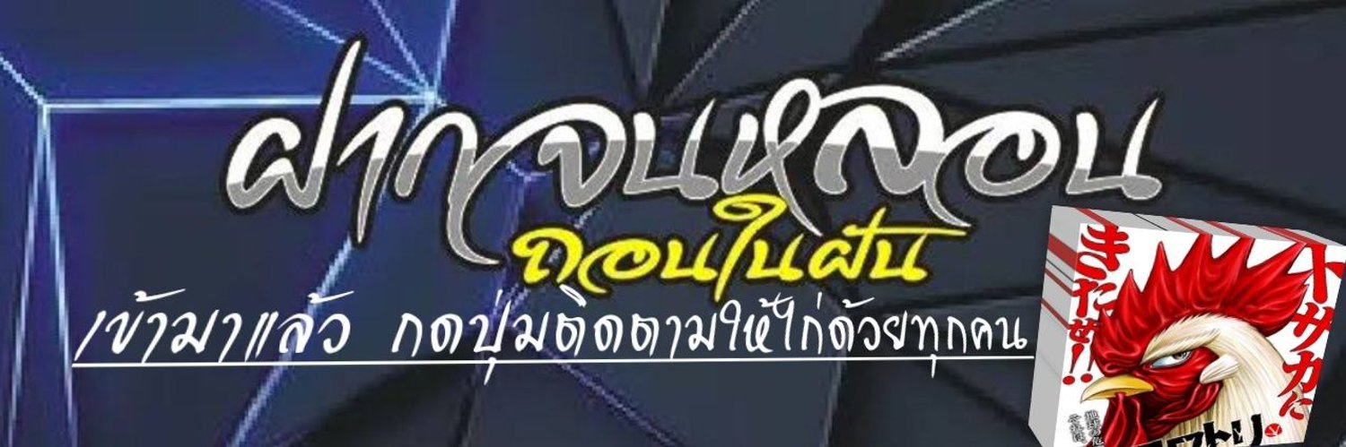 พี่ไก่สายปั่น 🐔 banner