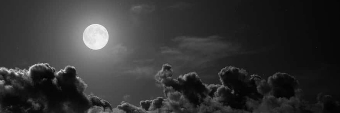 Matt Flash † banner