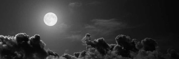 Powify Profile Banner