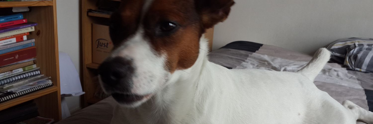 mariano y bichy banner