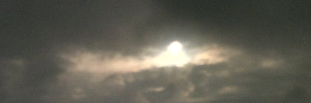 Pbltm's profile banner image