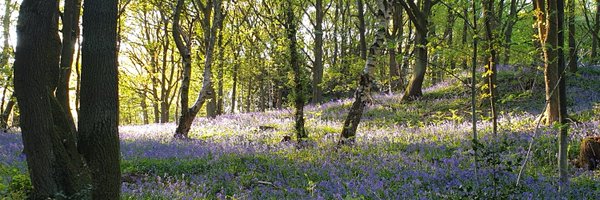 CookJoniL Profile Banner