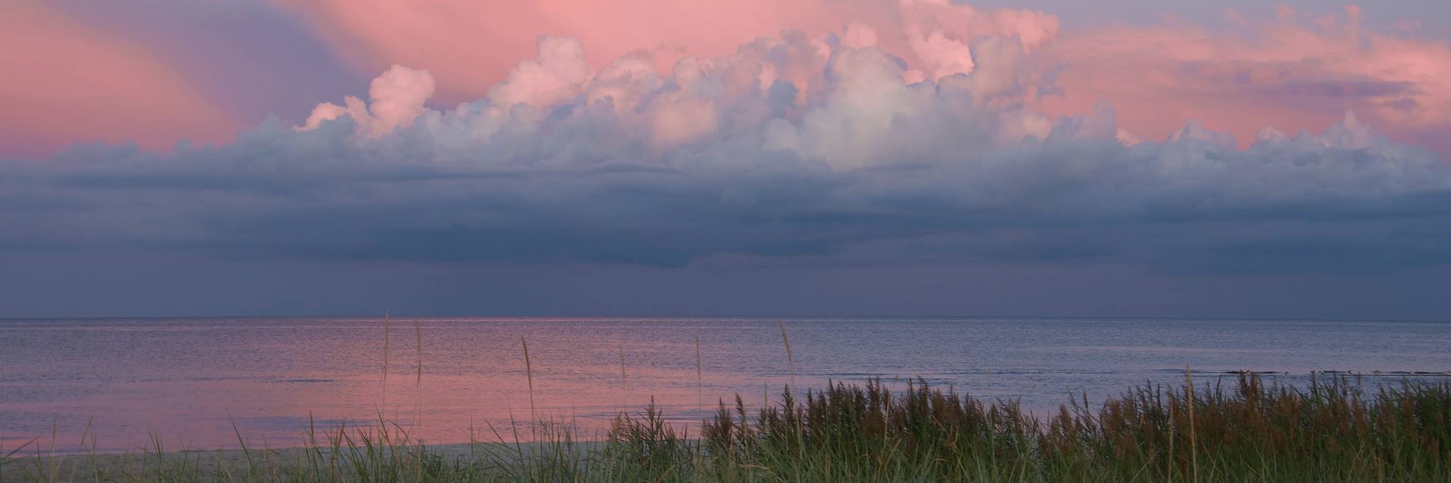 Kristine Engemann banner