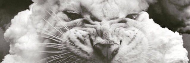 KingRiq_'s profile banner image