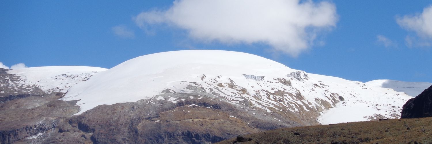 JormungandrA's profile banner image