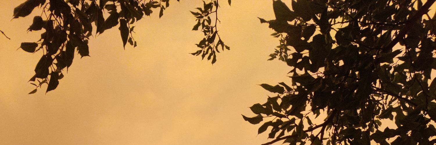 Laird Edgy Al Mo banner