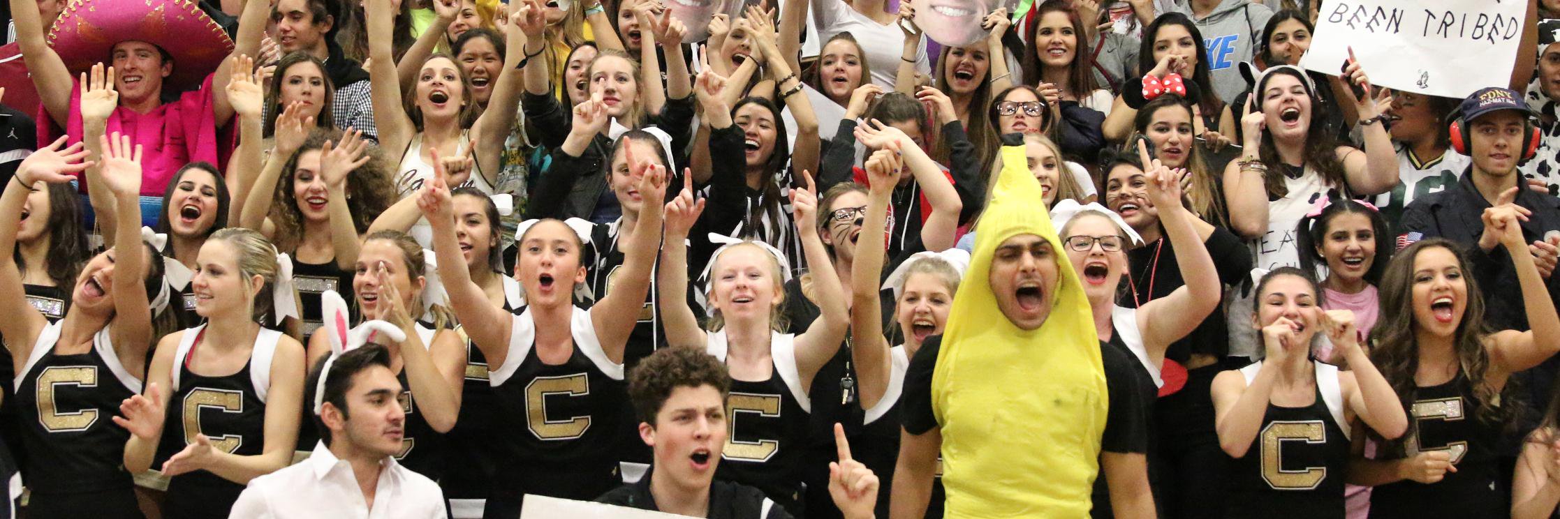 Canyon High School banner