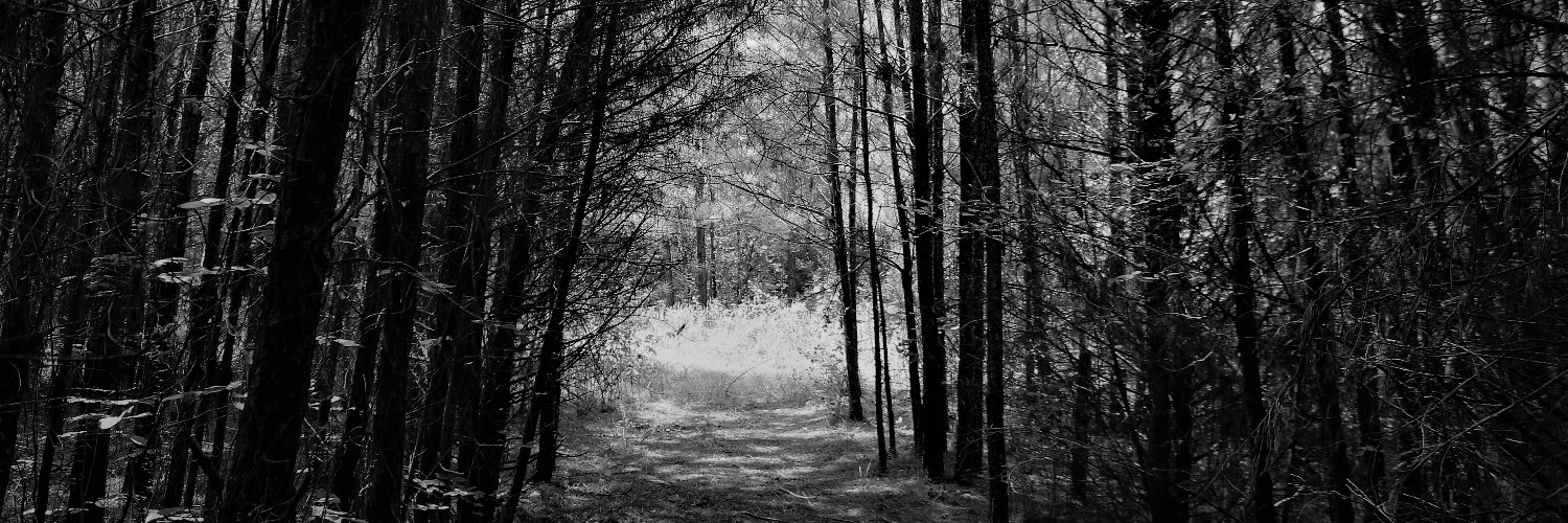 mwalshdesign's profile banner image