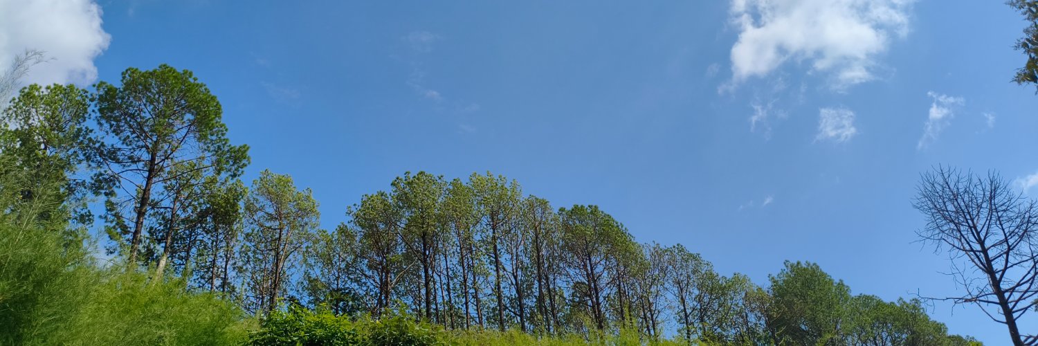 amiya030's profile banner image