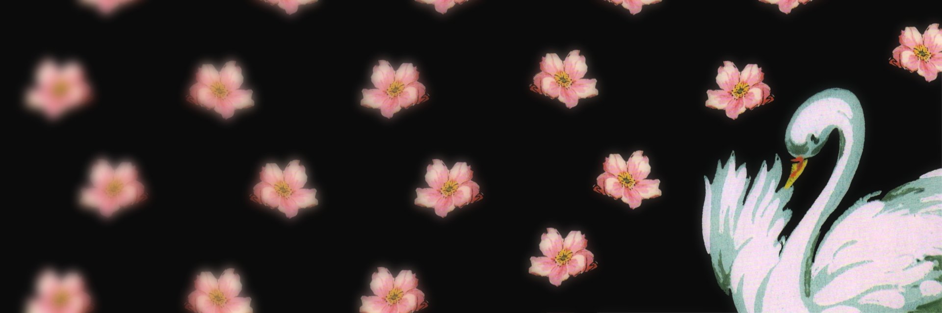 anyel's profile banner image
