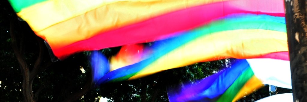 LGBTES banner