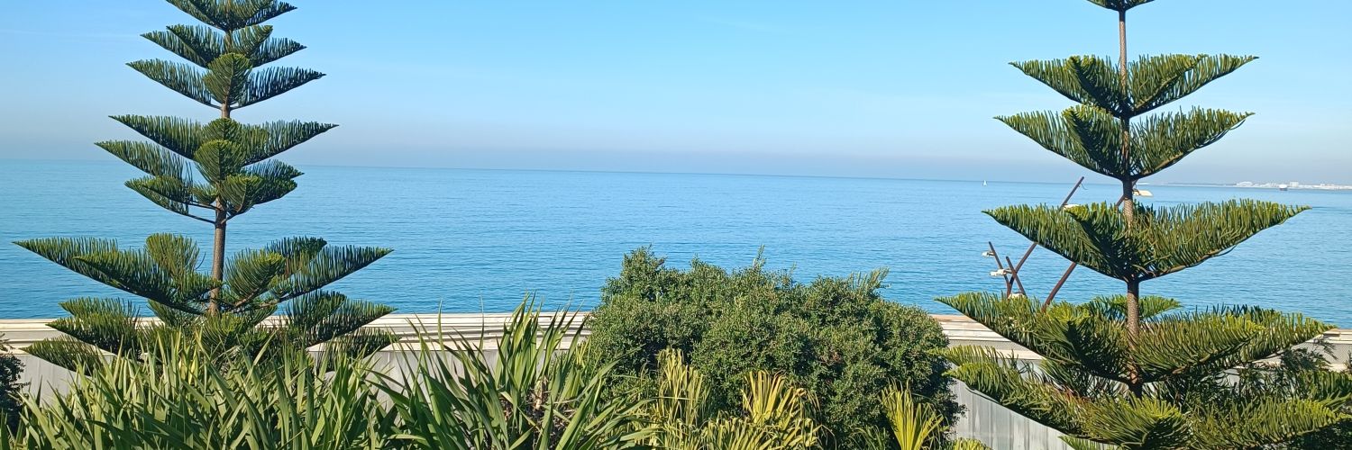 Emma 'not Watson' Serrano banner