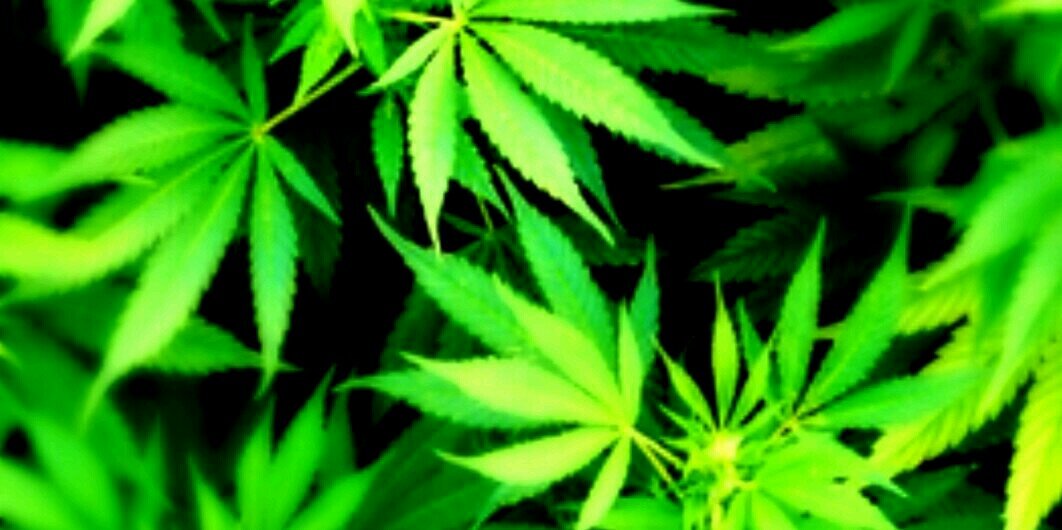 dooley_daz's profile banner image
