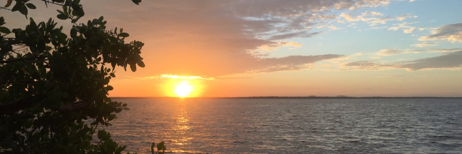 madison_gildea's profile banner image