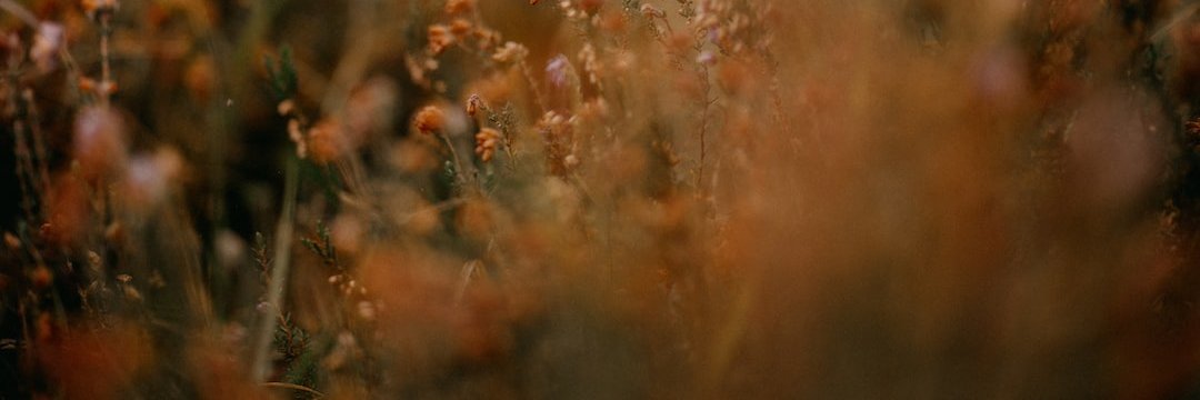 catherineb1112's profile banner image
