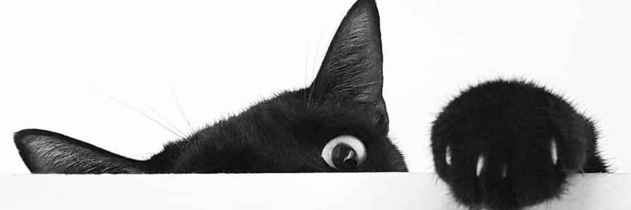 ManappattilC's profile banner image