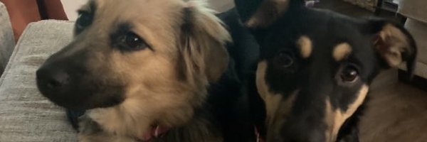 BethSlone1965 Profile Banner