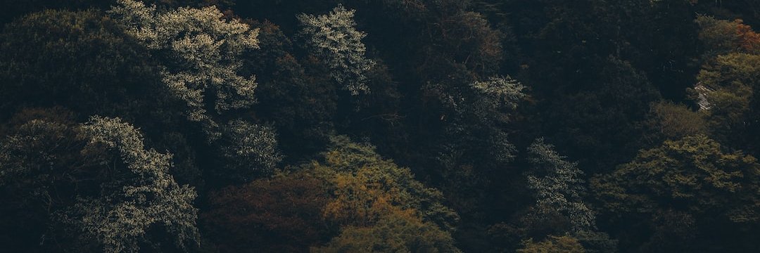 jam3esfowle's profile banner image