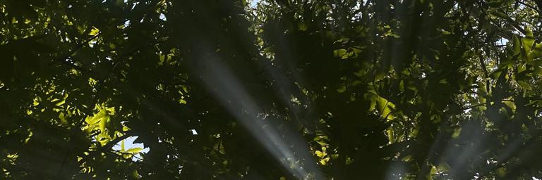 Kadircane21's profile banner image