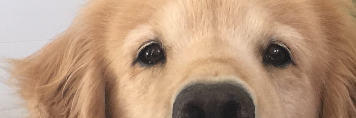 Solcicanzo's profile banner image