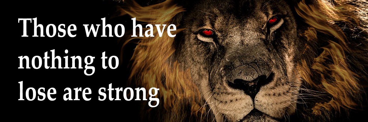 mamemamdaiti's profile banner image
