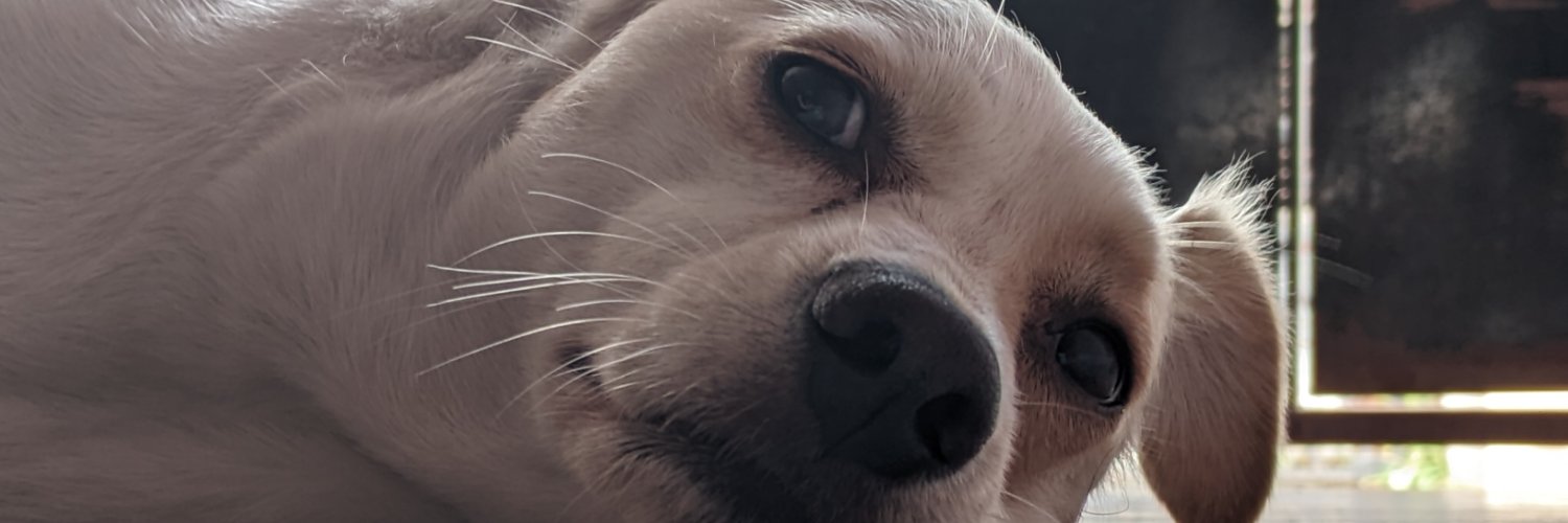 matiiniicolas's profile banner image