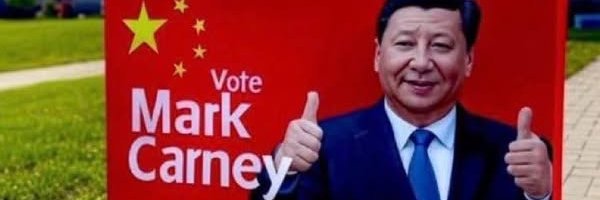 Bigblack Hawk banner